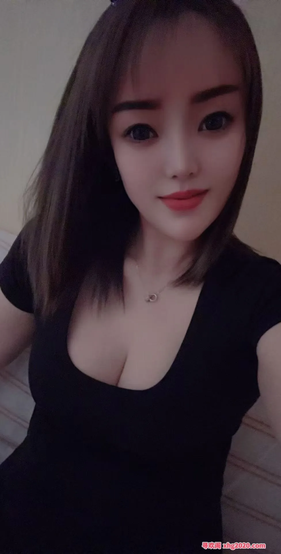 再体验济南经四路万达鸿景苑小鹦鹉 图片 2