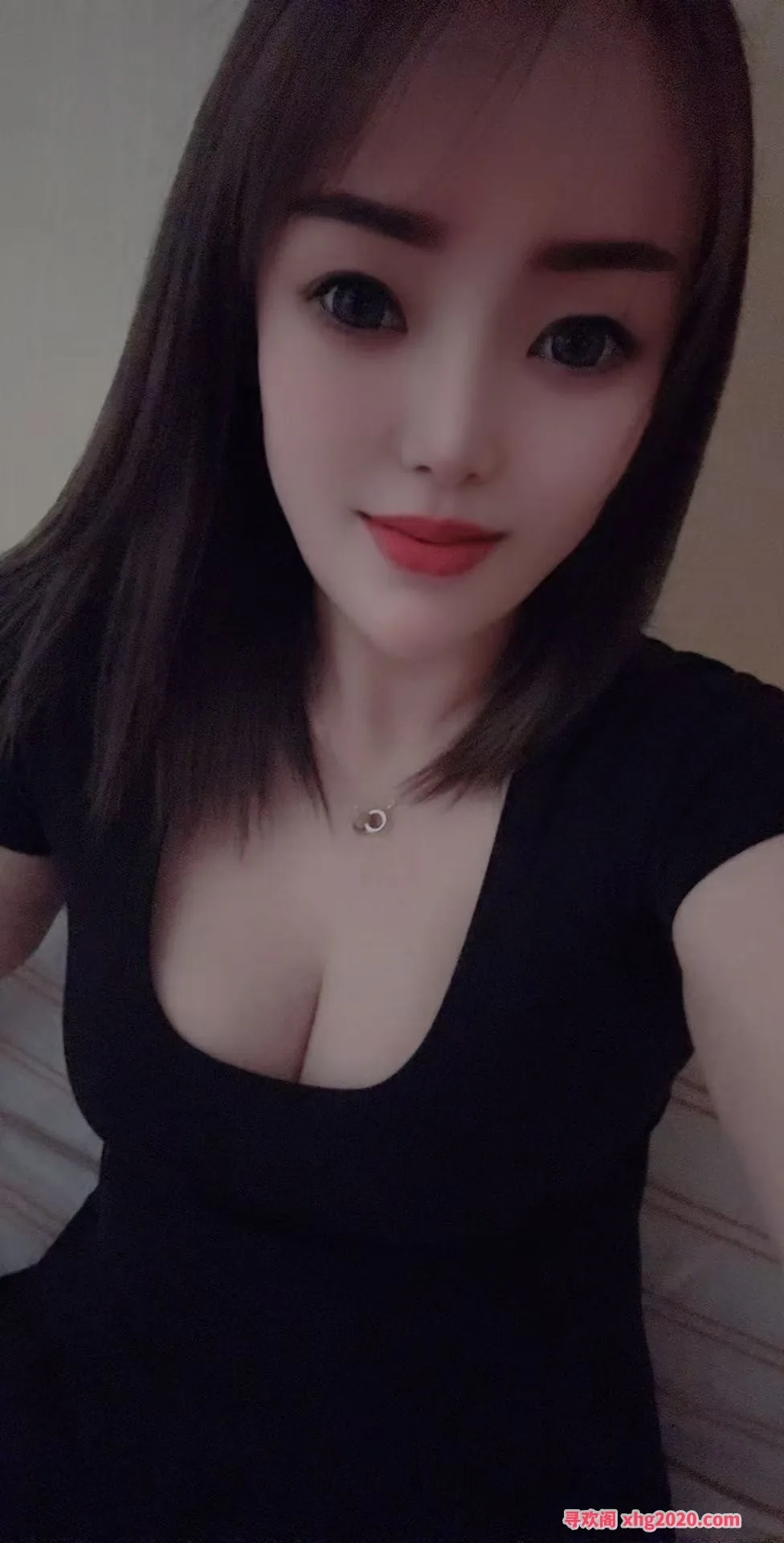再体验济南经四路万达鸿景苑小鹦鹉